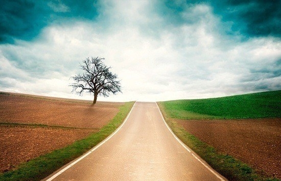 Learning Path
